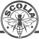 Scolia